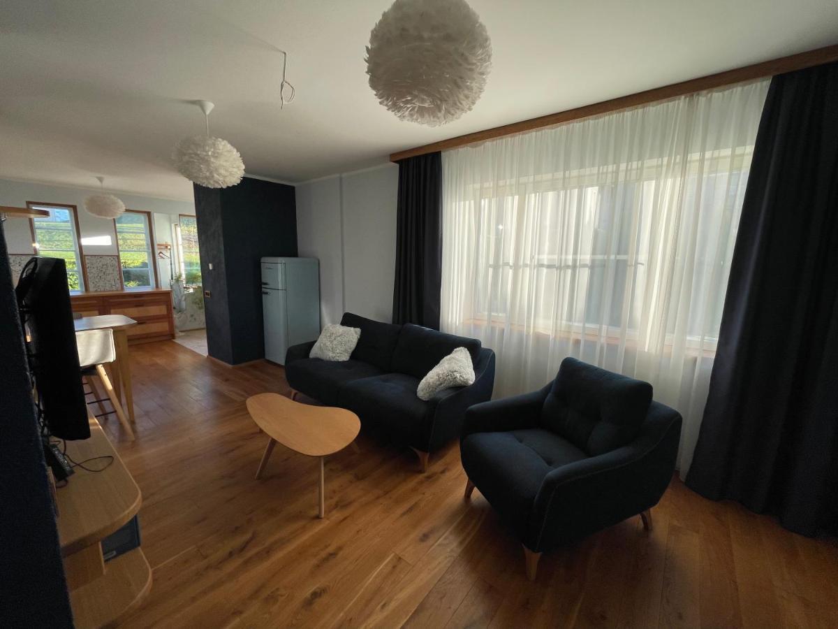"Winter" Apartment Viljandi  Extérieur photo